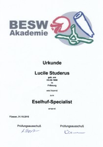 Urkunde Eselhuf-Specialist