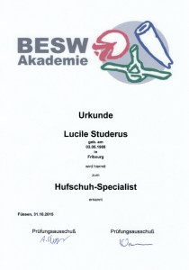 Urkunde Hufschuh-Specialist