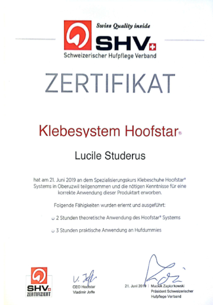 
Warning: Undefined property: stdClass::$title in /home/httpd/vhosts/barhufprofi.ch/httpdocs/modules/mod_uk_pricetable/tmpl/default.php on line 32
