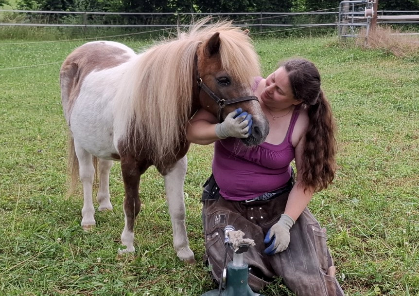 
Warning: Undefined property: stdClass::$title in /home/httpd/vhosts/barhufprofi.ch/httpdocs/modules/mod_uk_pricetable/tmpl/default.php on line 32
